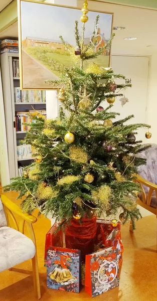 32. De kerstboom in het DOP